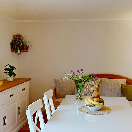 Gollendorf Vier Pfoten Ferienhaus