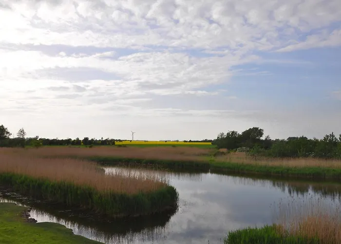 Gollendorf Vier Pfoten Ferienhaus Fehmarn