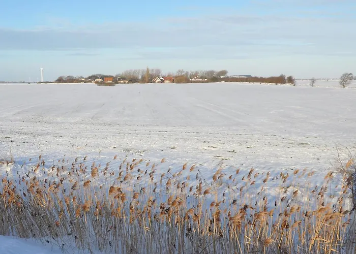 Gollendorf Vier Pfoten Ferienhaus Fehmarn