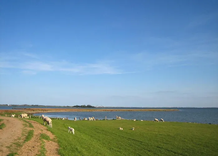 Ferienhaus Gollendorf Vier Pfoten Fehmarn