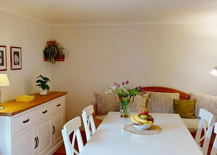 Gollendorf Vier Pfoten Ferienhaus